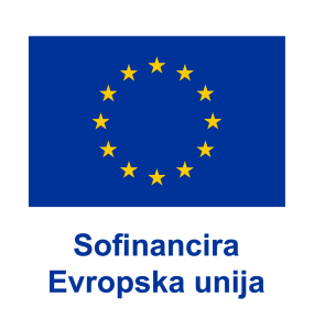 Slišati. Videti. Spremeniti. - ONA VE - SL co funded by VERTICAL RGB POS